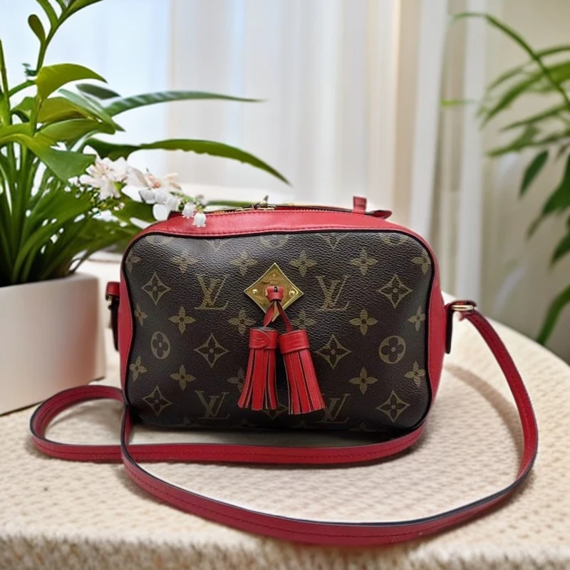 95新 LouisVuitton/路易威登  老花拼红皮流苏单肩包 939 8856