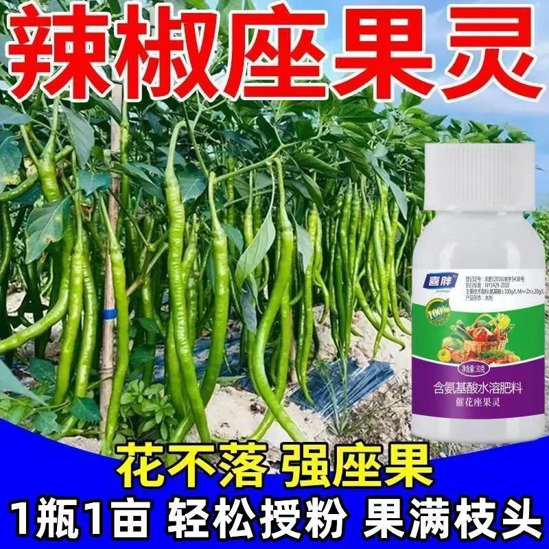 辣椒专用药辣椒保花保果的药辣椒坐果药授粉防落花落果座果精肥料