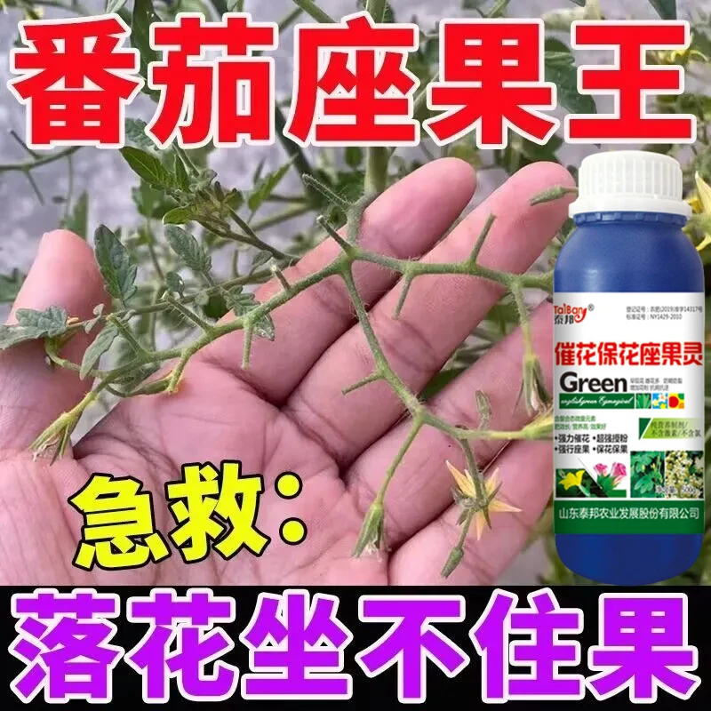 西红柿专用授粉药番茄叶面肥授粉座果精授粉花果素防落素沾花素