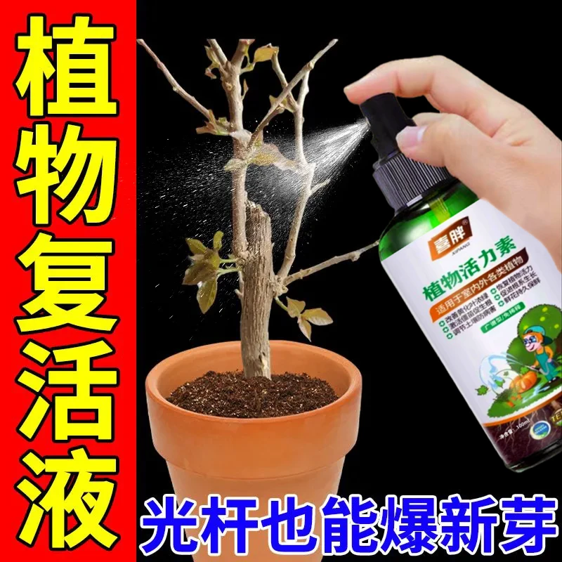 正品植物专用复活液针对植物光杆发黄掉叶生长快速活性生根壮苗