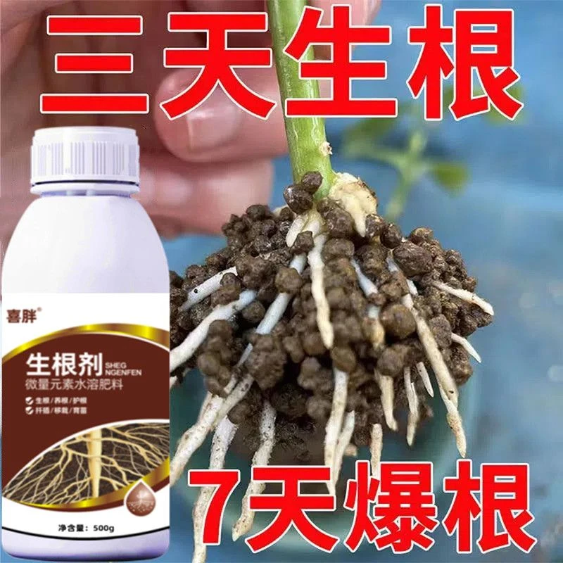 生根剂强力壮苗发根液移栽仟插花卉果树蔬菜通用型生根粉冲施肥料