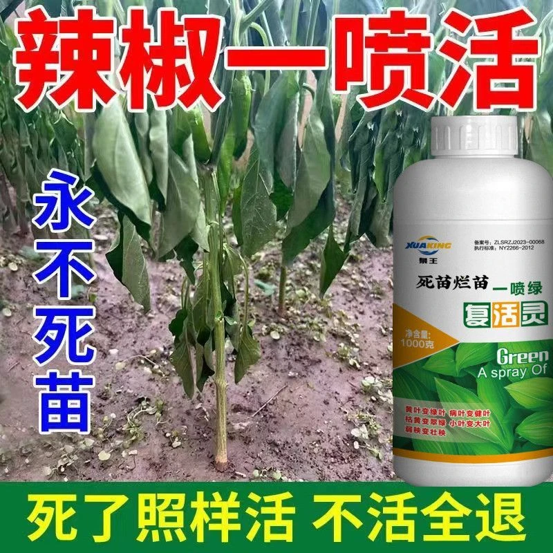 辣椒黄叶卷叶死苗枯萎专用辣椒保花保果拉长拉直三不落辣椒专用肥