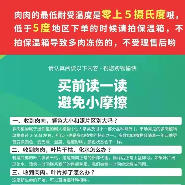 处理口红5颗/以直播为准/吹吹多肉（满9.99包邮）