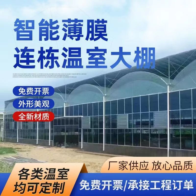 温室大棚骨架钢管养殖棚种植棚全套牛棚羊圈猪舍蔬菜棚椭圆管定制