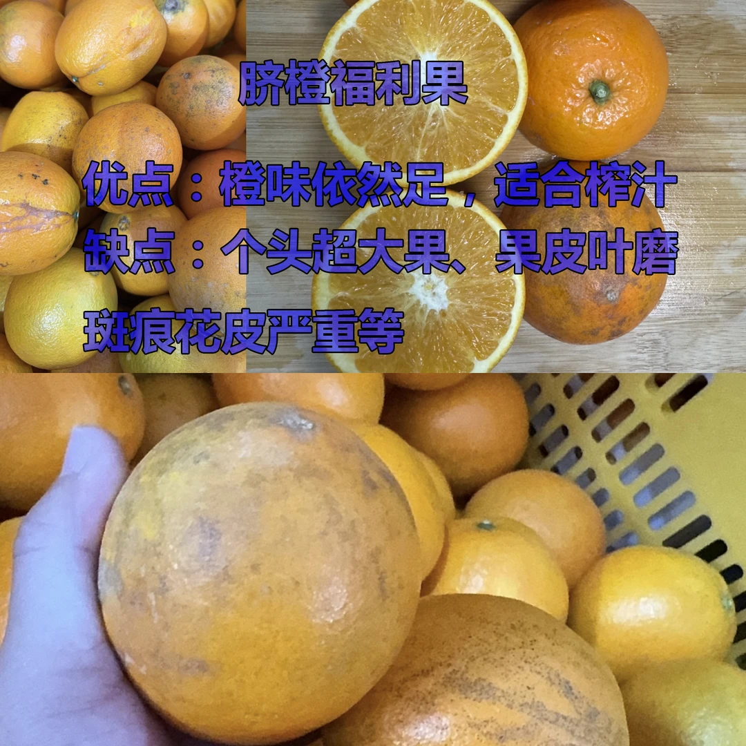 【榨汁果】正宗赣南脐橙8斤 酸甜可口江西橙子应季水果
