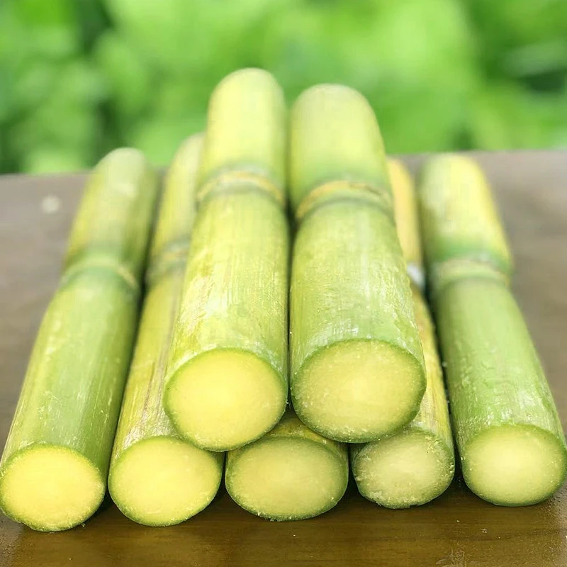 陶花山白甘蔗精选青皮果蔗绿皮甘蔗新鲜当季水果非黑皮去头尾中间