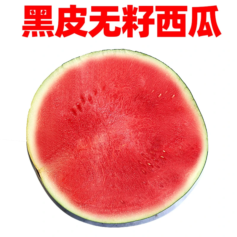 黑皮无籽西瓜墨童西瓜水果新鲜现摘无籽孕妇水果西瓜甜瓜6-14斤
