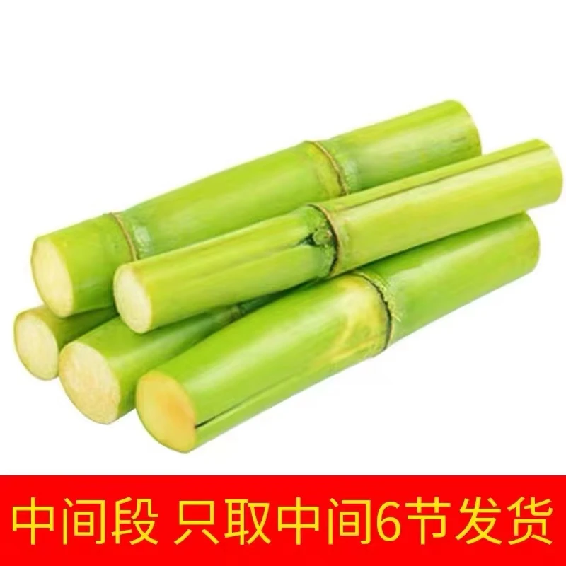 陶花山白玉甘蔗精选青皮果蔗绿皮甘蔗新鲜当季水果非黑皮甘蔗中间