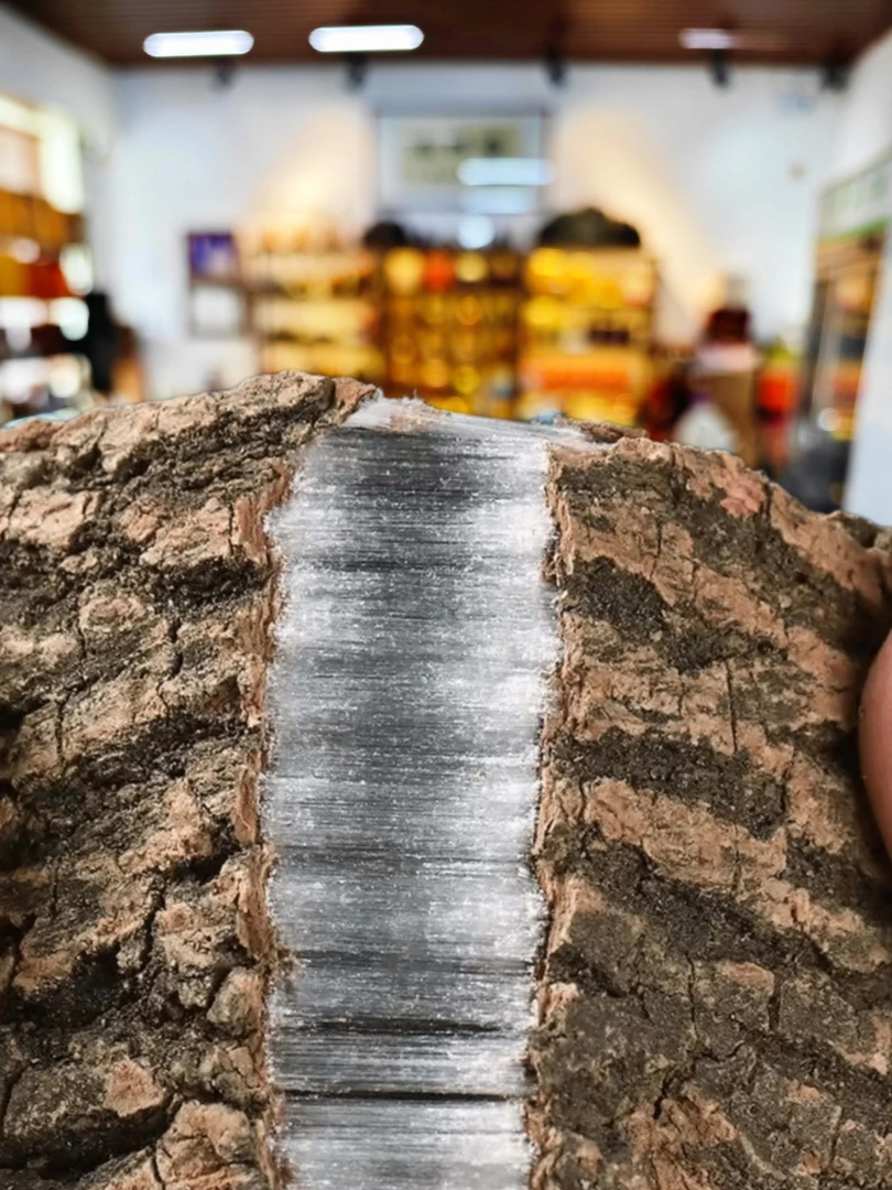 【承颐堂】老树龄整块老杜仲厚肉拉丝煲汤料正品干树皮搭配桑叶茶