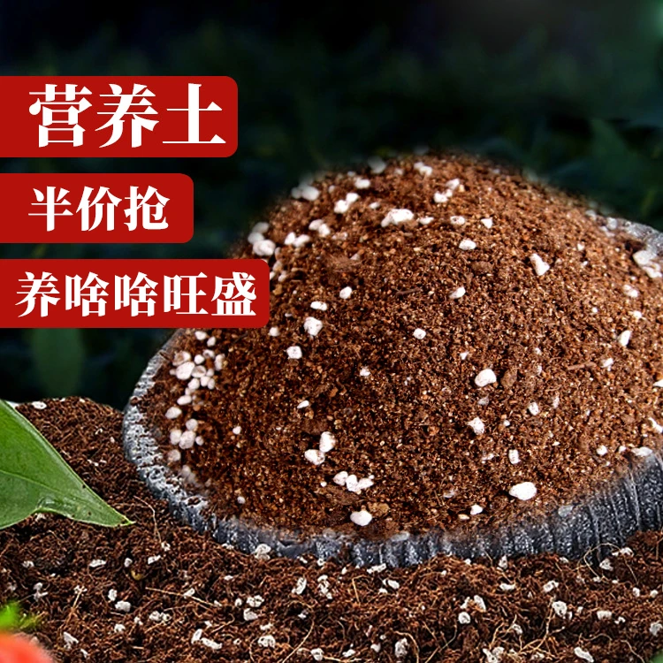营养土兰花土专用多肉植物花卉养多肉通用大袋花土营养土颗粒批发