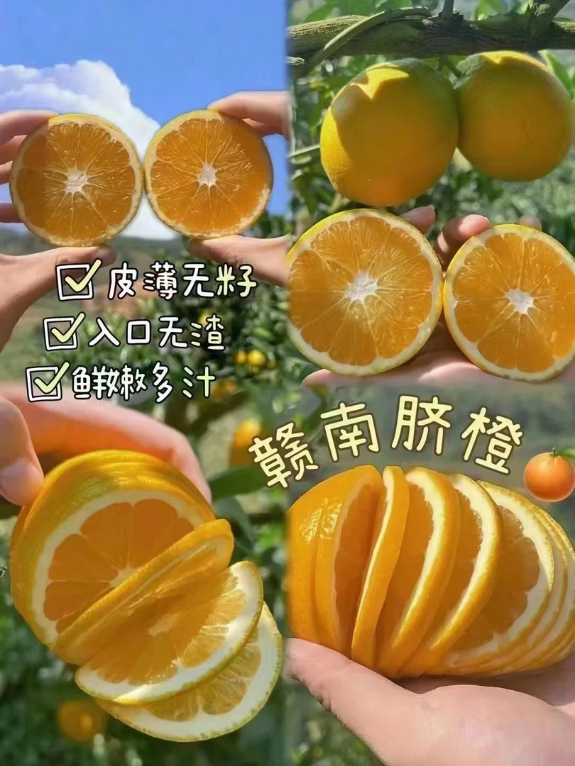 （东北三省）赣南脐橙产地寻乌新鲜应季水果榨果汁