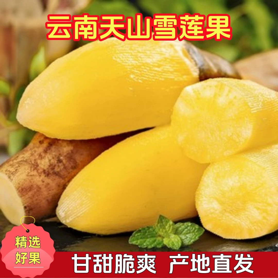 【雪莲果】云南天山雪莲果皮薄肉脆清甜多汁