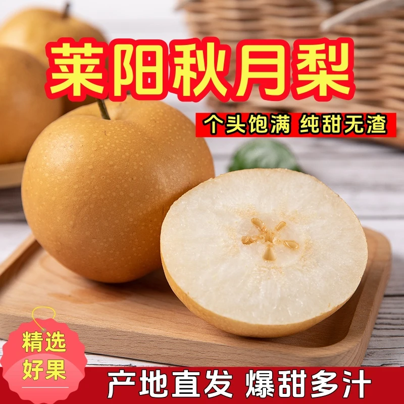 【正宗莱阳秋月梨】纯甜无渣新鲜当季个头饱满肉厚多汁产地直发