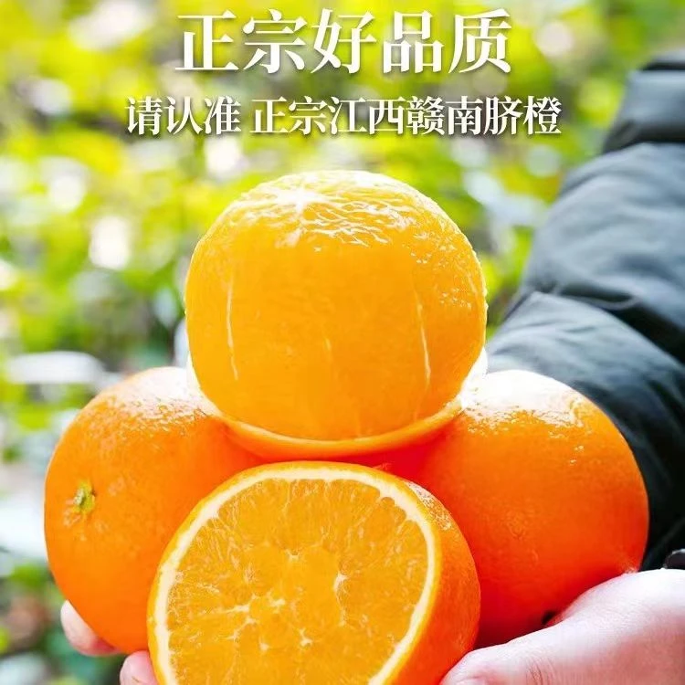 （李岚专属）江西赣南脐橙 新鲜多汁 坏果包赔
