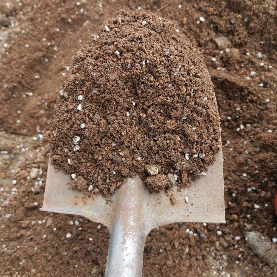 沙漠玫瑰土5斤装