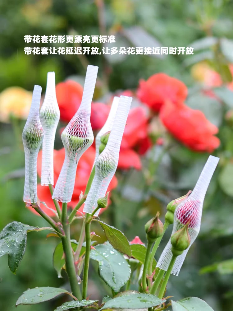 月季花鲜花网套玫瑰花保护网套花卉网套包装网袋保护网套花蕾花套