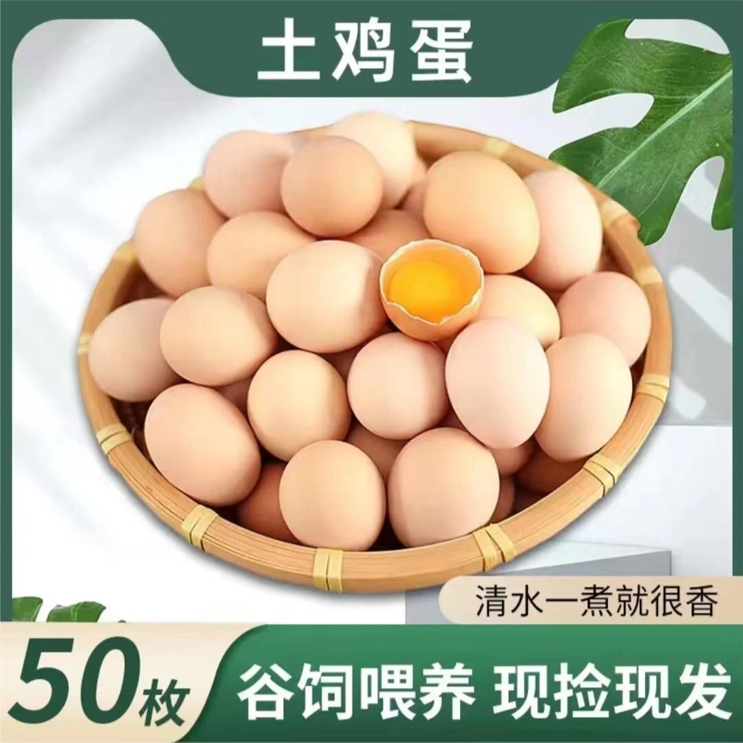 【小杨妹A】新鲜土鸡蛋 草鸡蛋 50枚 破损包赔