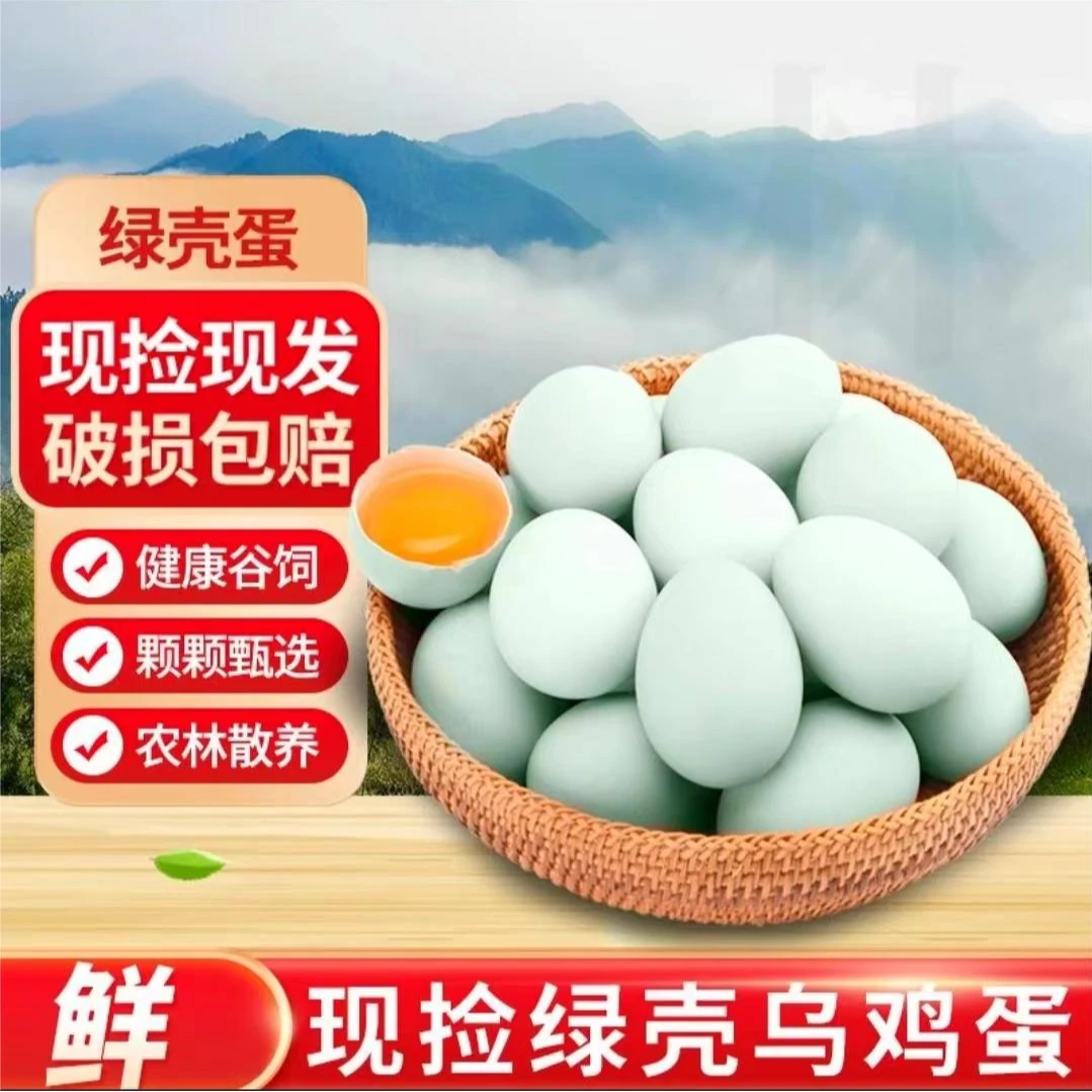 【朱朱】放养绿壳蛋乌鸡蛋40枚 净重3.2斤 破损包赔