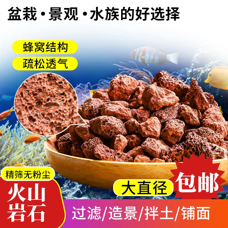 天然红垫底兰花铺面过滤石多肉鱼缸火山石火山岩颗粒拌土专用水族