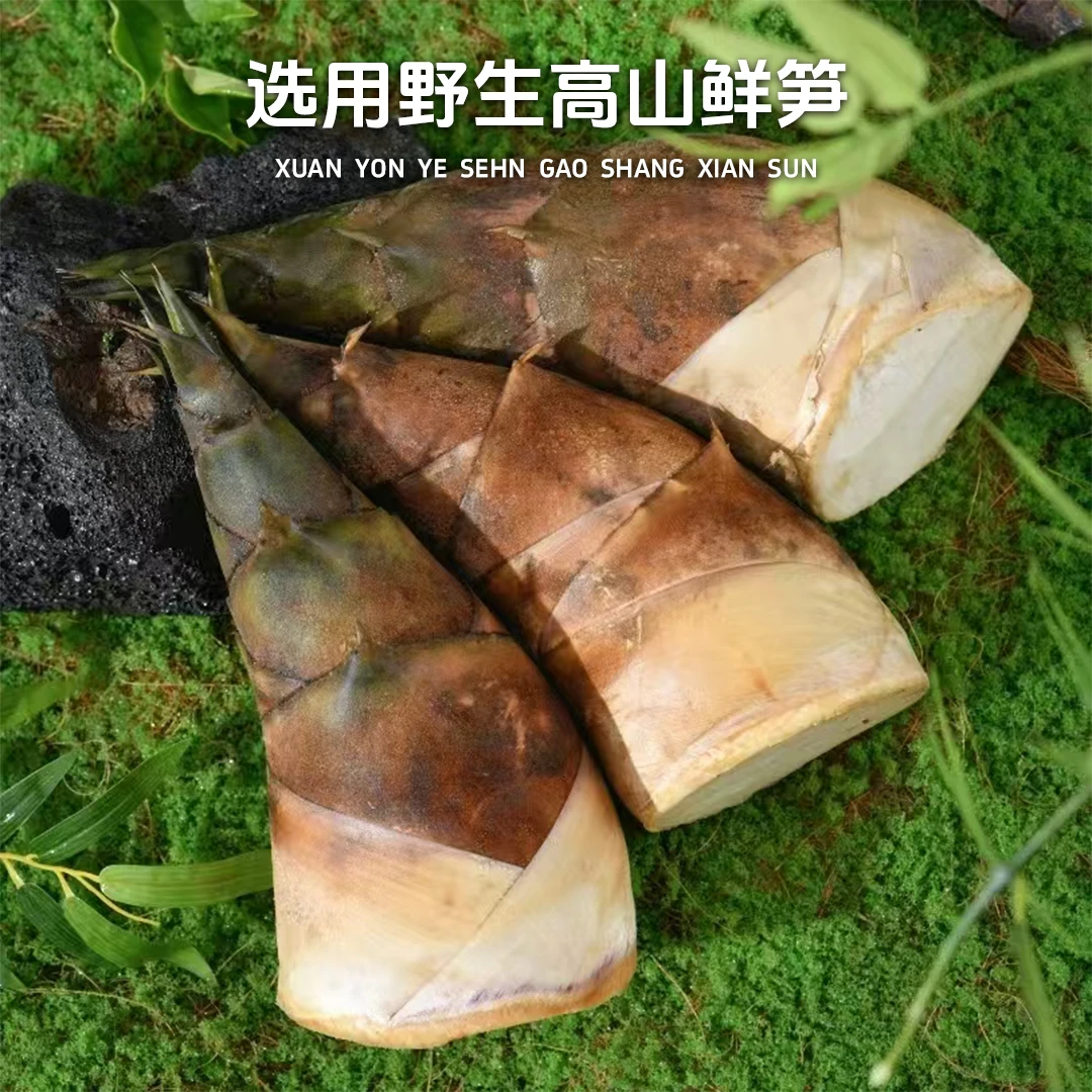 【哀牢山野生有机笋】免切免泡脆笋碳烤笋清炒香脆下饭春笋竹笋云廿