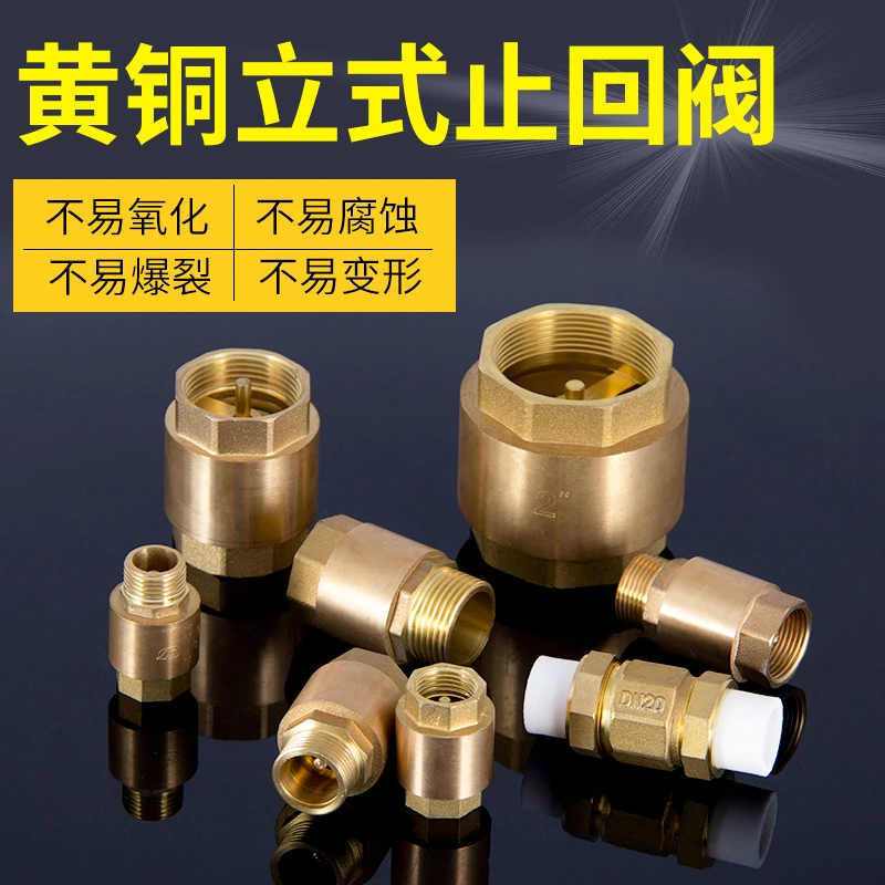 4分6分PPR立式止回阀水管单向阀1寸止流阀DN15 20 25 水表逆止阀