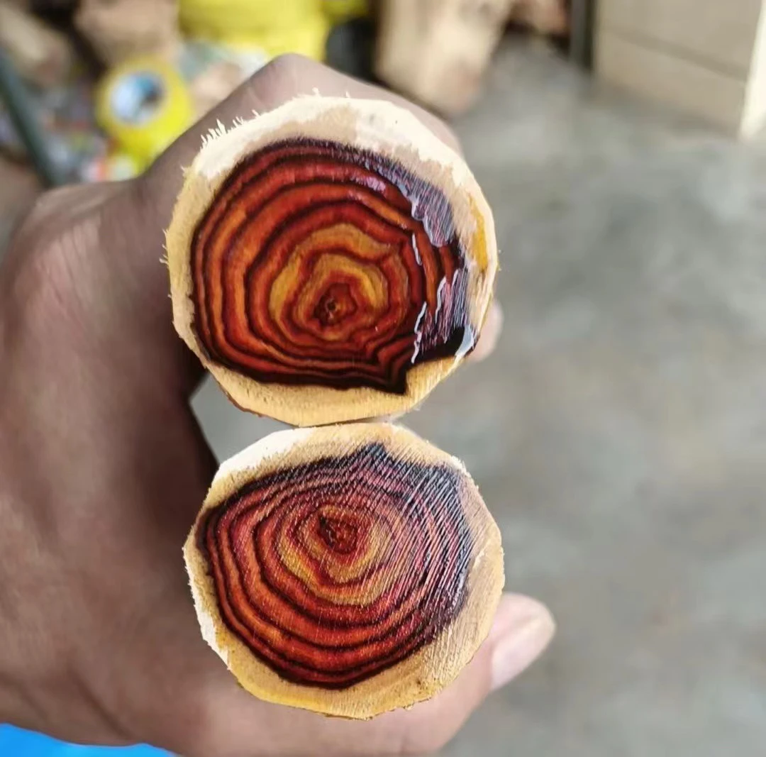 海南黄花梨霸王岭西部老料沉水紫油梨文玩把件降香黄檀