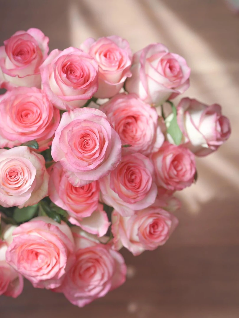 ﹝艾莎玫瑰-10枝﹞艾莎粉 高品质鲜切花 家庭办公室鲜花