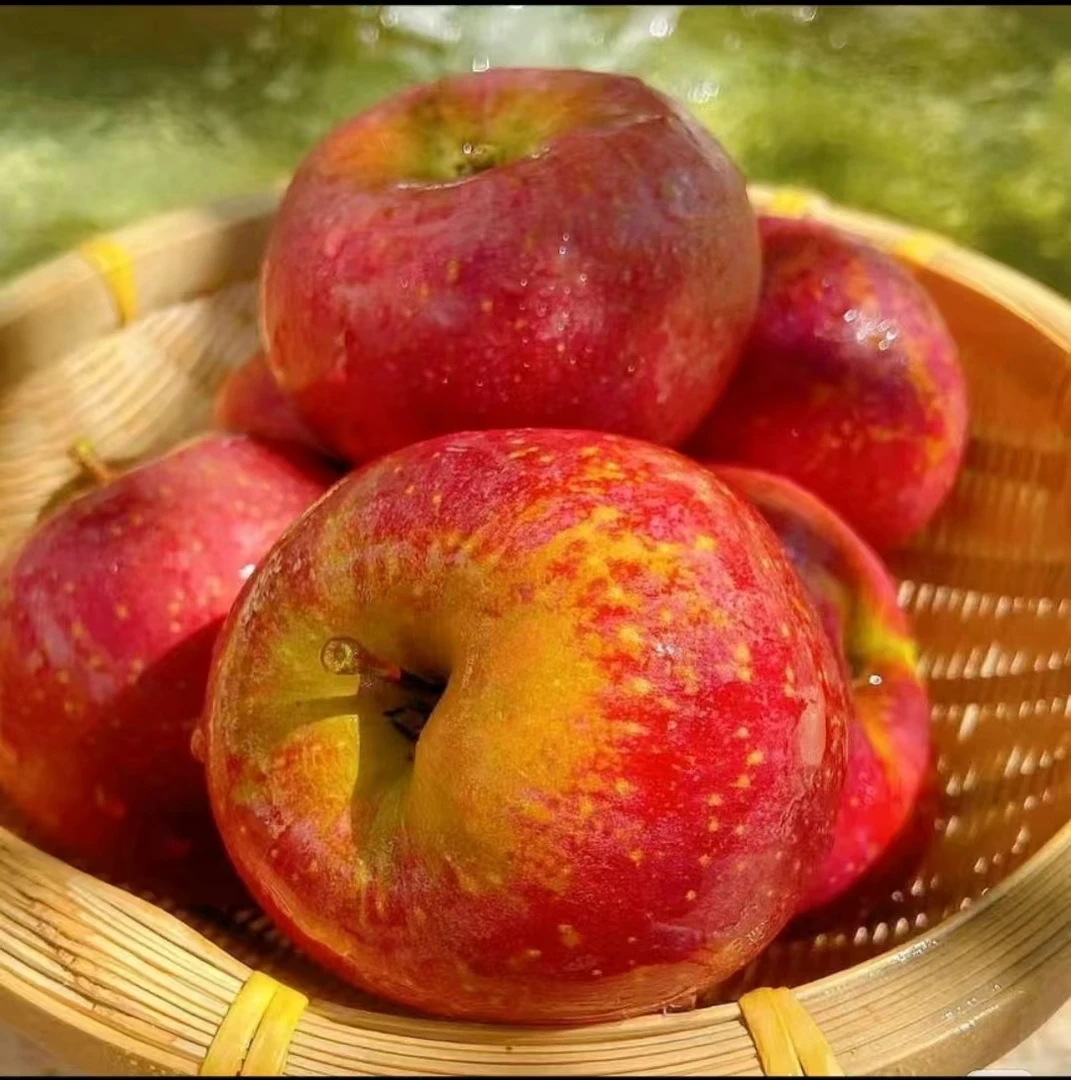 苹果好吃脆脆的苹果