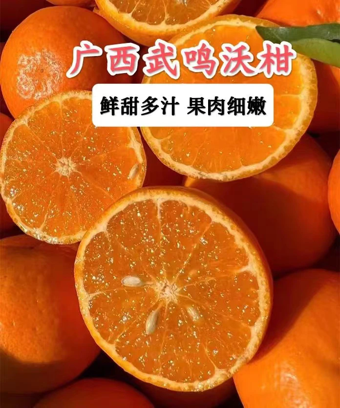 广西武鸣沃柑花皮5-9斤新鲜现摘香甜果肉细腻多汁