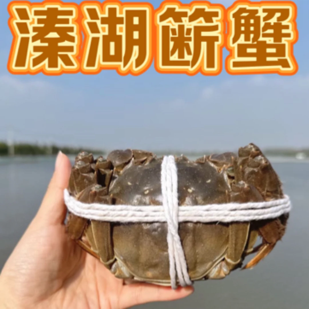 活蟹公4.1-3.8两母3.1-2.9两8/10/12只鲜活螃蟹溱湖簖蟹大闸蟹礼