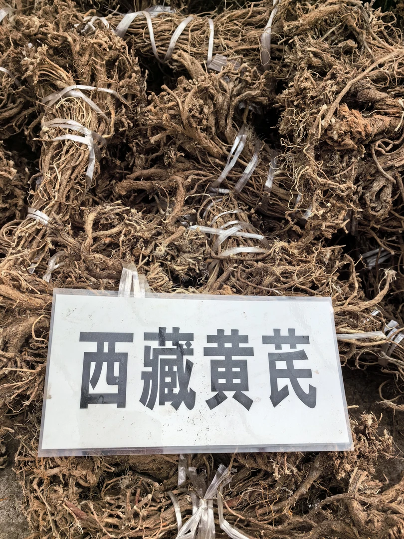 西藏正宗农家黄/  芪泡水/煲汤/泡酒/炖肉250g/袋