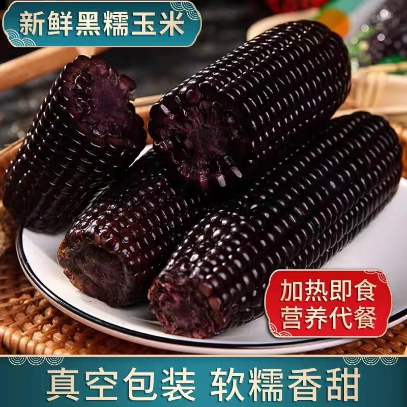 【试吃2根】新鲜真空黑糯玉米10根200g以上/根粗粮代餐富含花青素