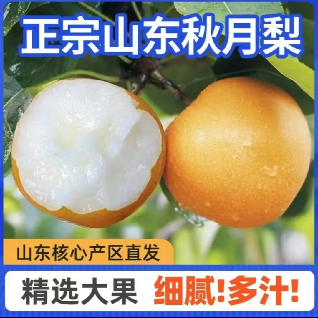 【京东送货到家】山东原产秋月梨9斤装大礼盒自家种植果园新鲜直售