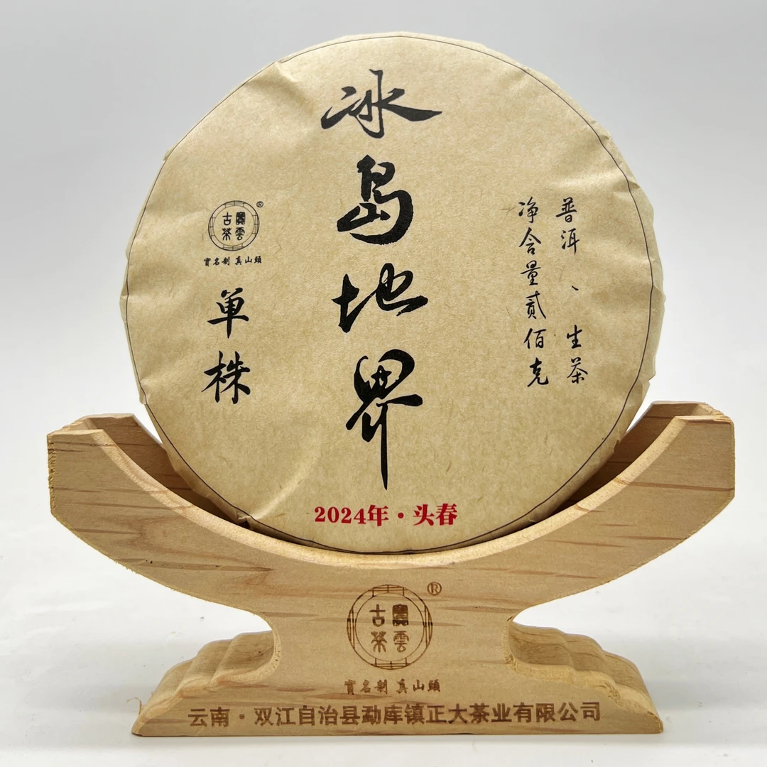 2024冰岛地界单株头春 普洱茶（生茶）200g 艺术款