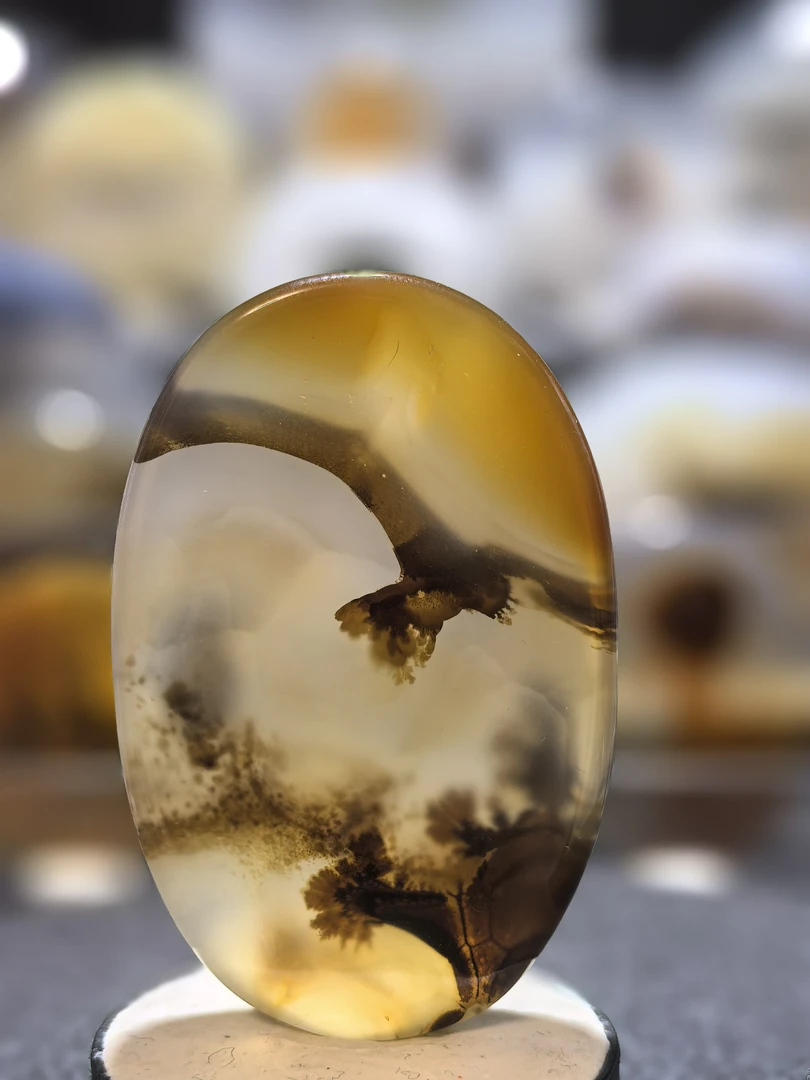 雄鹰展翅天然奇石