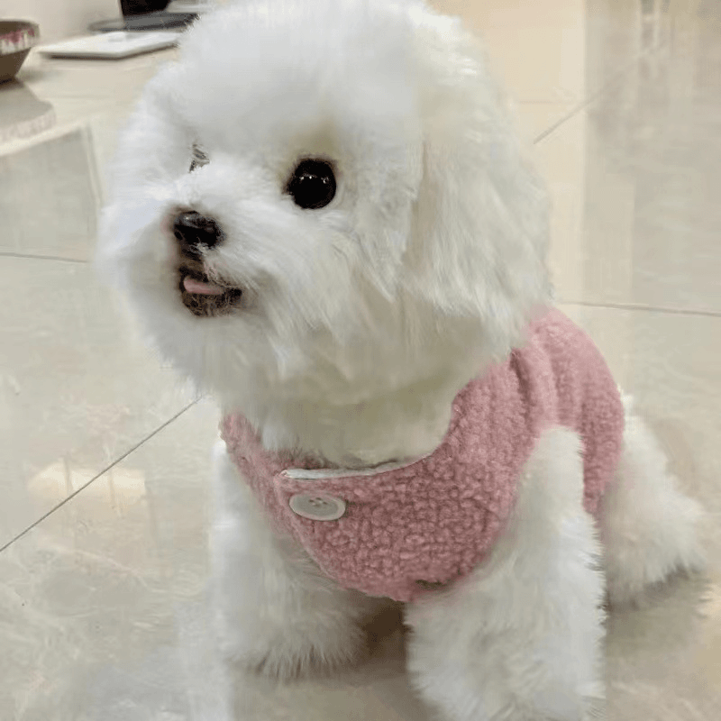 狗狗猫咪衣服可爱ins保暖羊羔毛马甲背心秋冬款泰迪博美宠物冬装