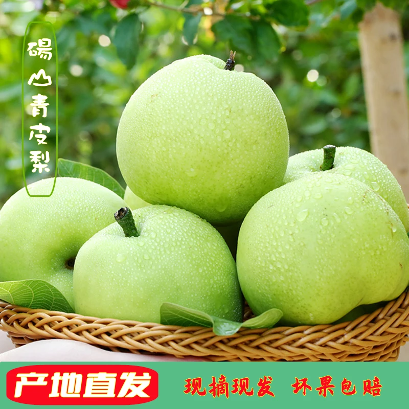 【砀山皇冠梨】爽口果梨翠冠梨青皮雪梨酥梨蜜梨产地直发净重5/9斤.