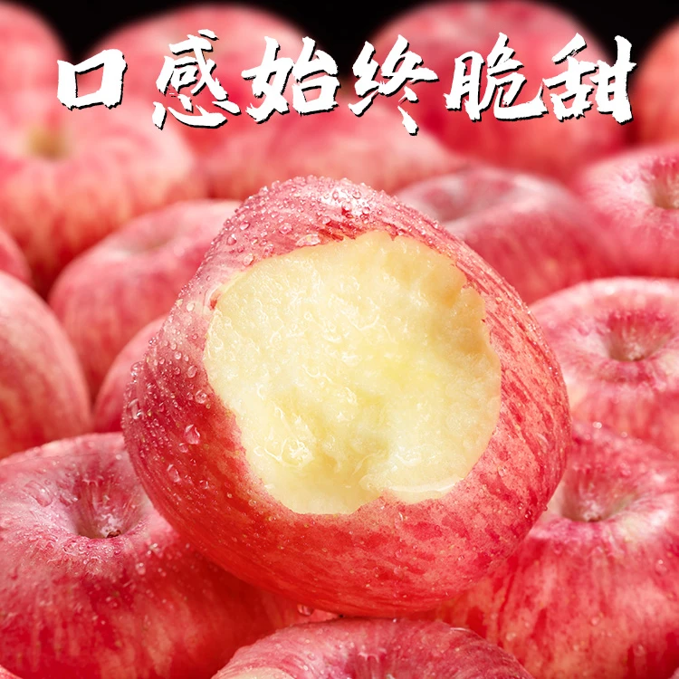 烟台红富士苹果新鲜采摘红甜应季水果3/9斤脆甜多汁自然重量发货