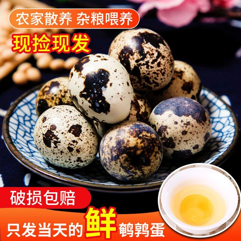 【抢先价】农家蛋白质鹌鹑蛋杂粮喂养新鲜鹌鹑蛋现捡现发25-200枚
