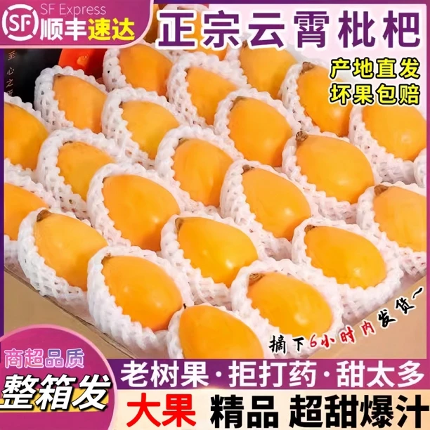 顺丰包邮福建云霄枇杷品质大果整箱新鲜树上熟 3/5斤整箱琵琶水果