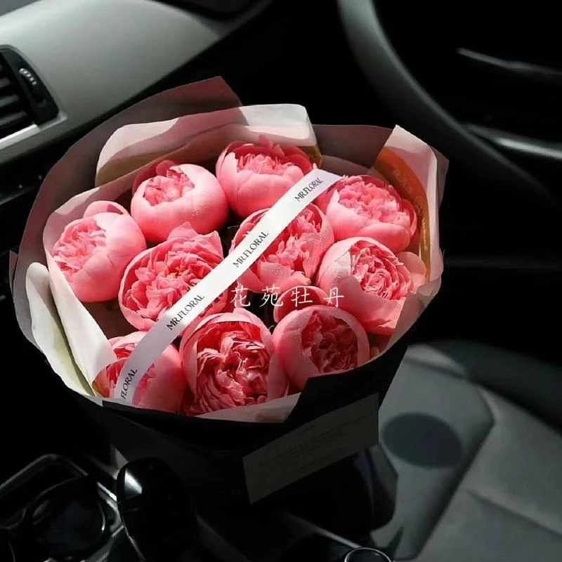 三文鱼观赏芍药苗带根块多年生正宗重瓣大花庭院阳台盆栽芍药