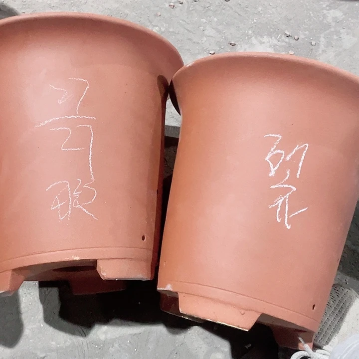 紫砂花盆花盆花盆