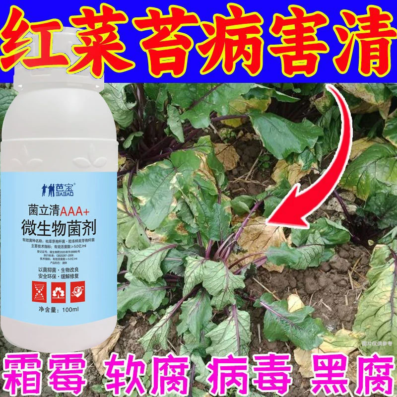 红菜苔菜心霜霉病软腐病腐烂发臭烂根烂叶根腐病黑腐病农肥菌剂