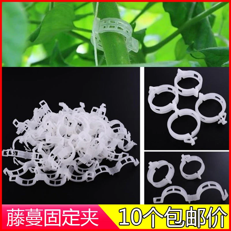 藤蔓固定夹绑蔓夹扶蔓固定卡扣绿植夹藤蔓植物绑枝夹庭院定型夹子