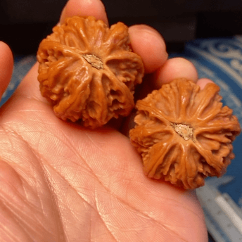 【闪购商品】文玩核桃把件秦岭核桃秦岭