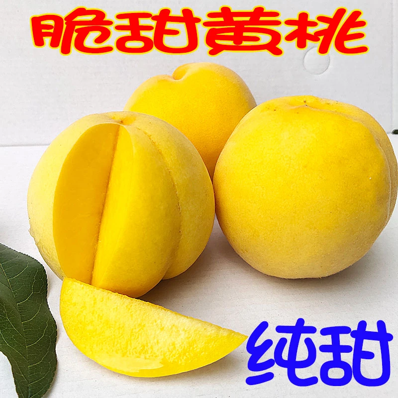 金皇后黄桃硬桃放不软】正宗山东蒙阴新鲜水果黄金蜜应季夏日尝鲜