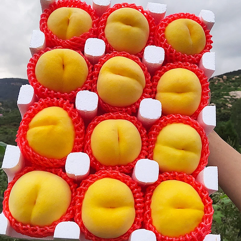 【顺丰快递】山东正宗蒙阴红心黄桃黄金蜜新鲜水果礼盒原产地直发