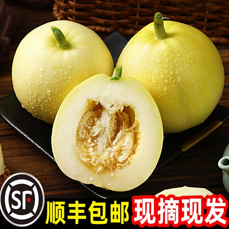 【顺丰包邮】头茬山东蜜罐小蜜蜂甜瓜新鲜水果网红香瓜原产地现摘
