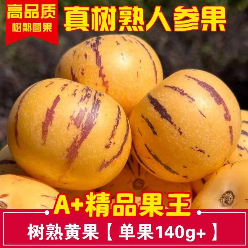 1云南当季人参果礼盒大果新鲜人叁果水果特大黄心人生果包邮