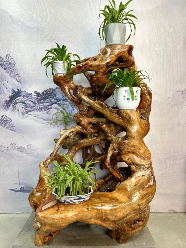 香樟木整体树根花架无拼接根抱石天然自然造型盆景架置物架摆件